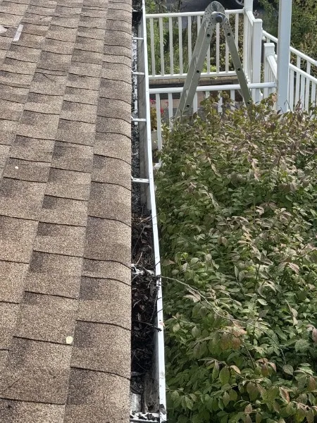 Close view of a gutter packed with leaf debris beside a shingle roof and porch railing