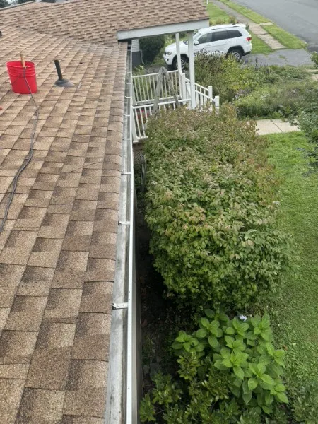 Long gutter run above overgrown hedges with cleaning tools staged on the shingle roof